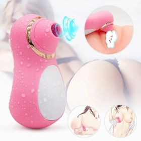 Intense Suction Clitoral Stimulator Female Massager Pink Estimulador Feminino De Seios E ClitÃ³ris 10 Velocidades vibradoras femininos